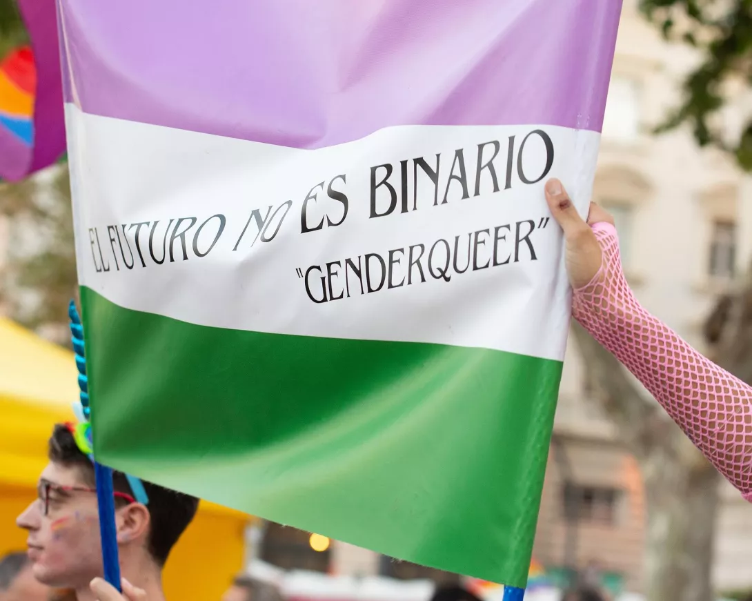 Bandera no binaria con texto "El futuro no es binario" y "genderqueer"